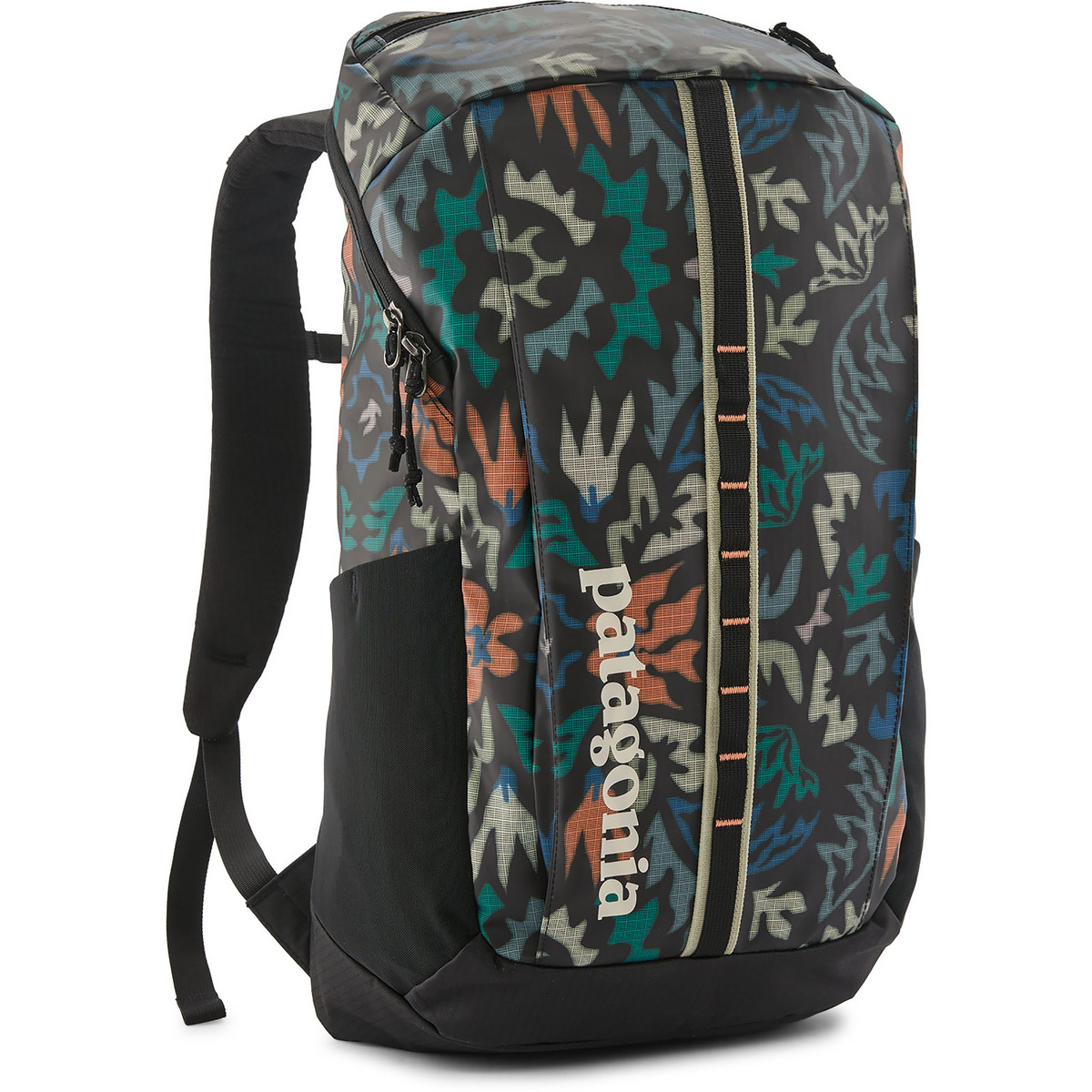 Image of Patagonia Zaino Black Hole 25L