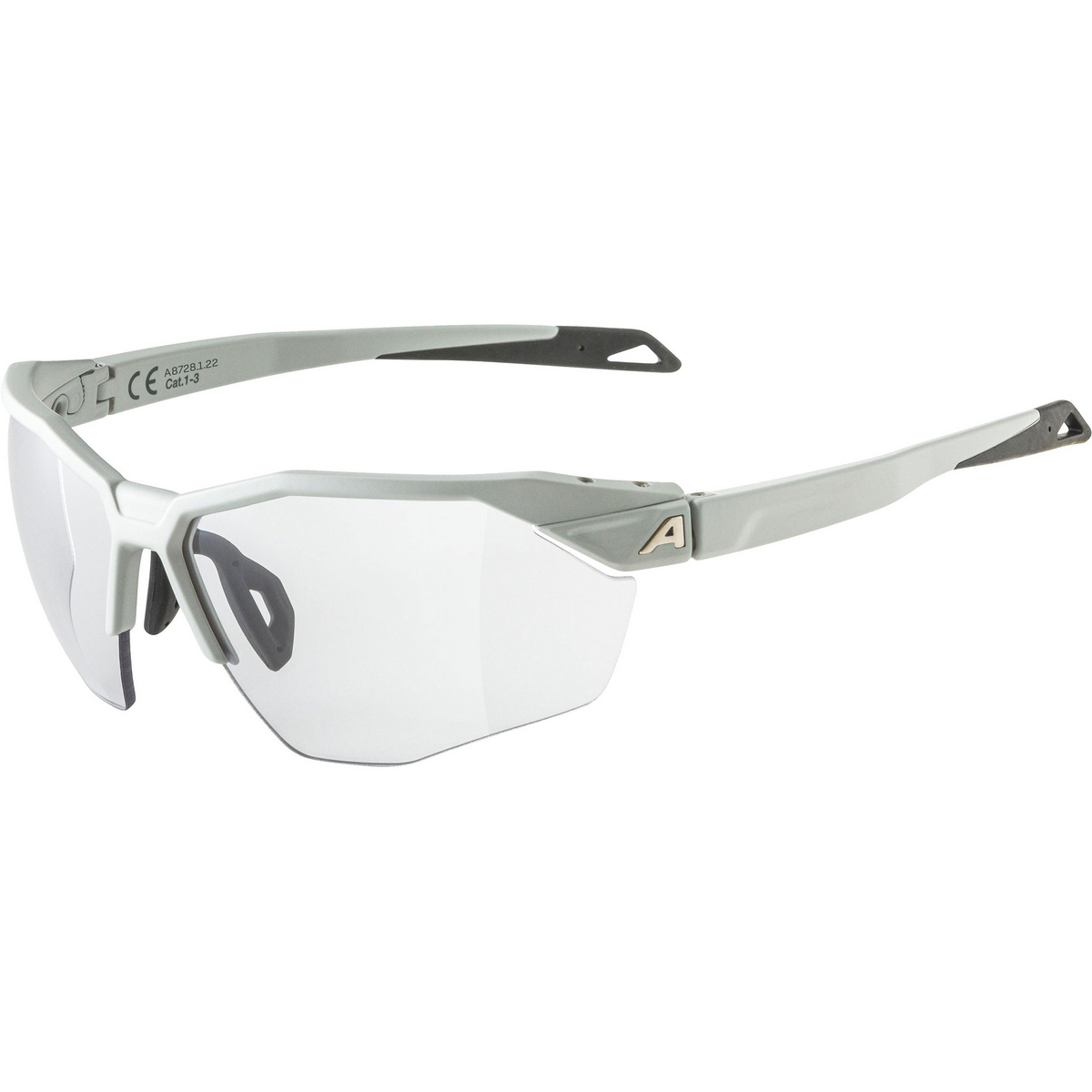 Image of Alpina Twist Six HR V 1-3 Sportbrille