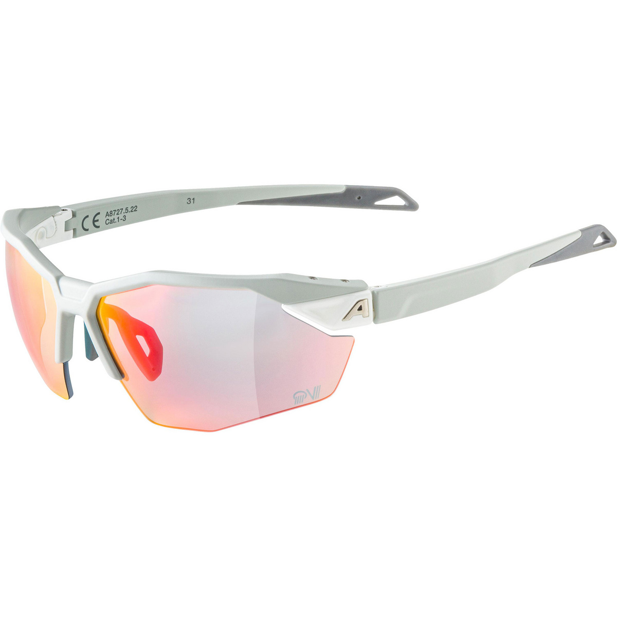 Image of Alpina Twist Six S HR QV 1-3 Sportbrille