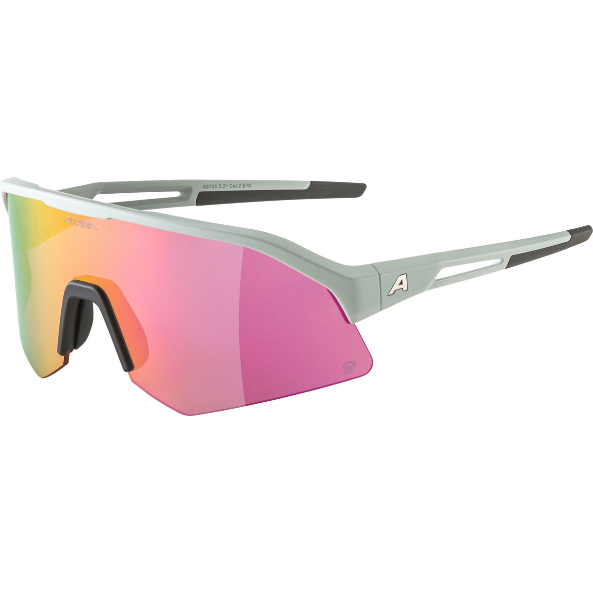 Image of Alpina Sonic HR Q 2 Sportbrille