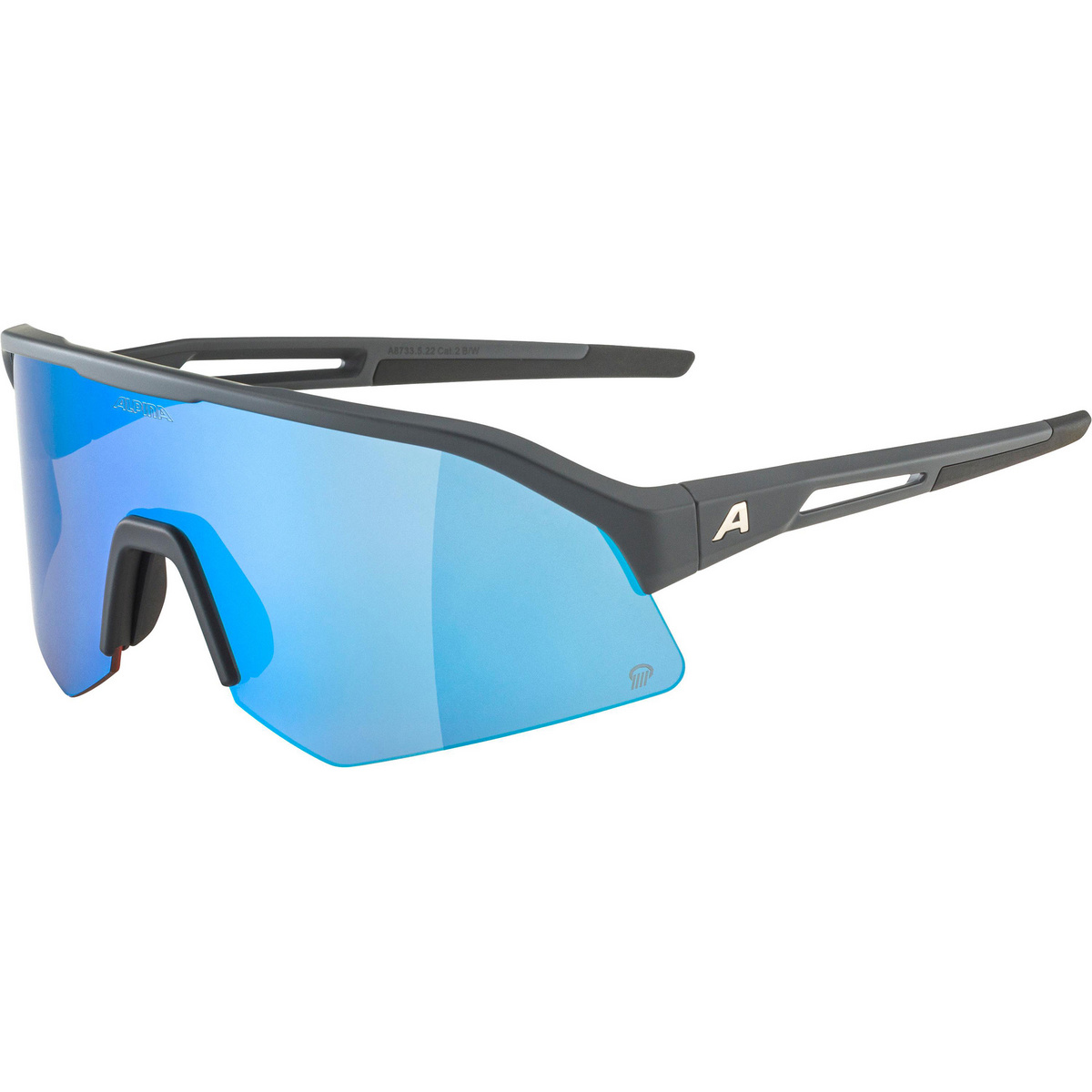 Alpina Sonic HR Q 2 Sportbrille (Größe One Size, grau)