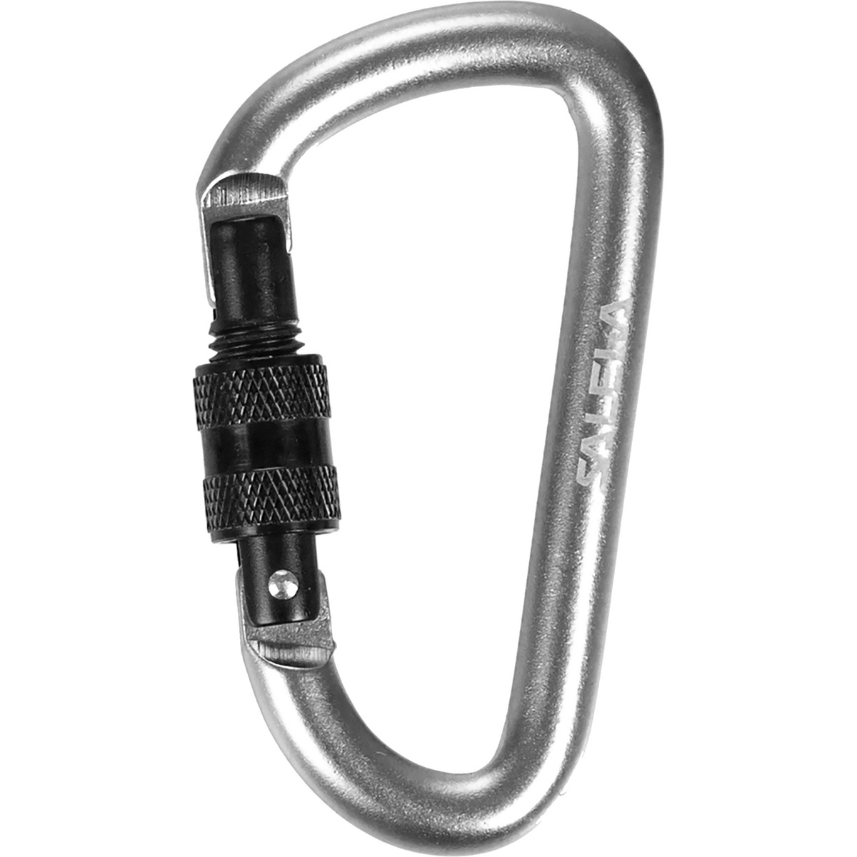Image of Salewa Moschettone D-shape Screw