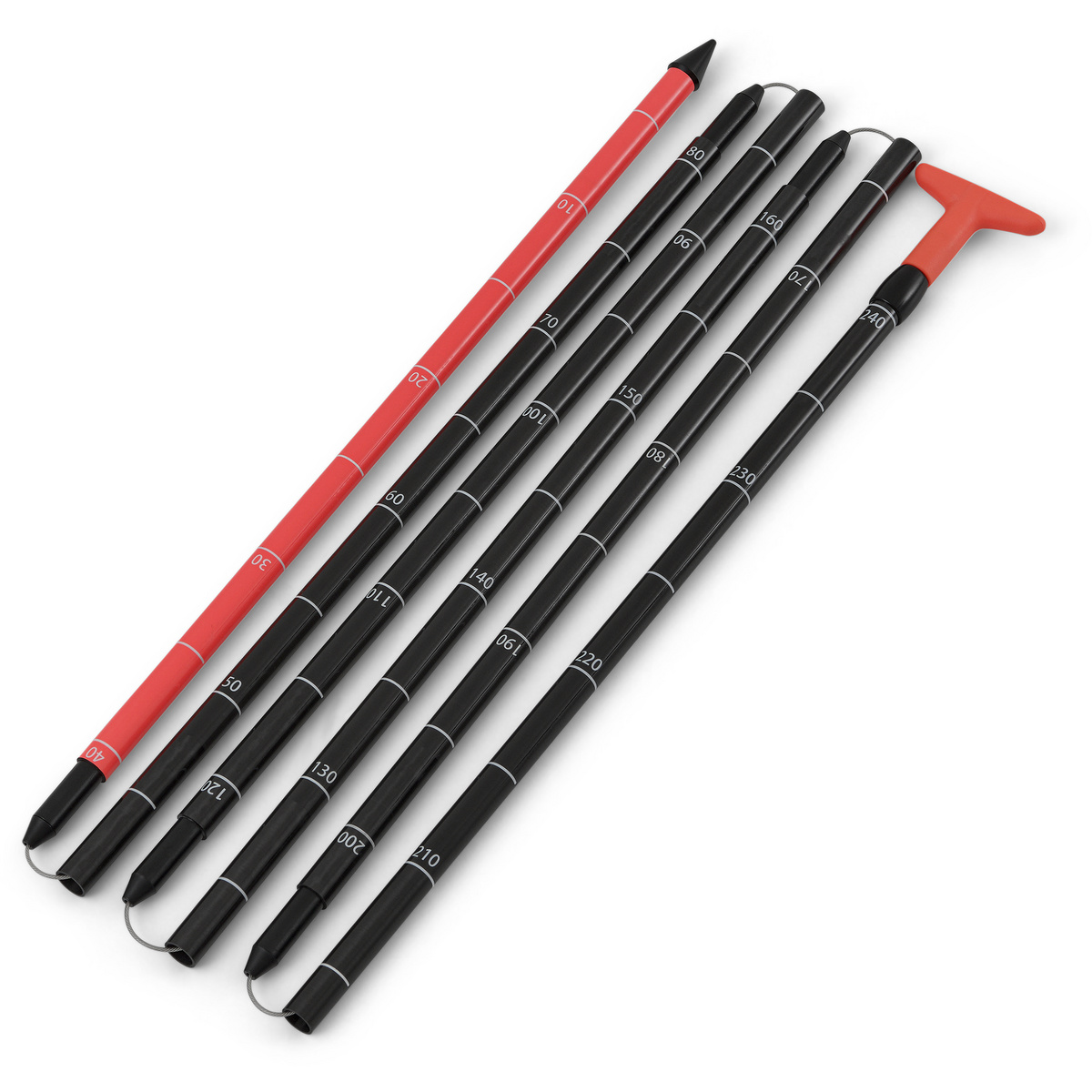 Salewa Sonde à avalanche Sella Carbon 280 (taille ONE SIZE, Noir)