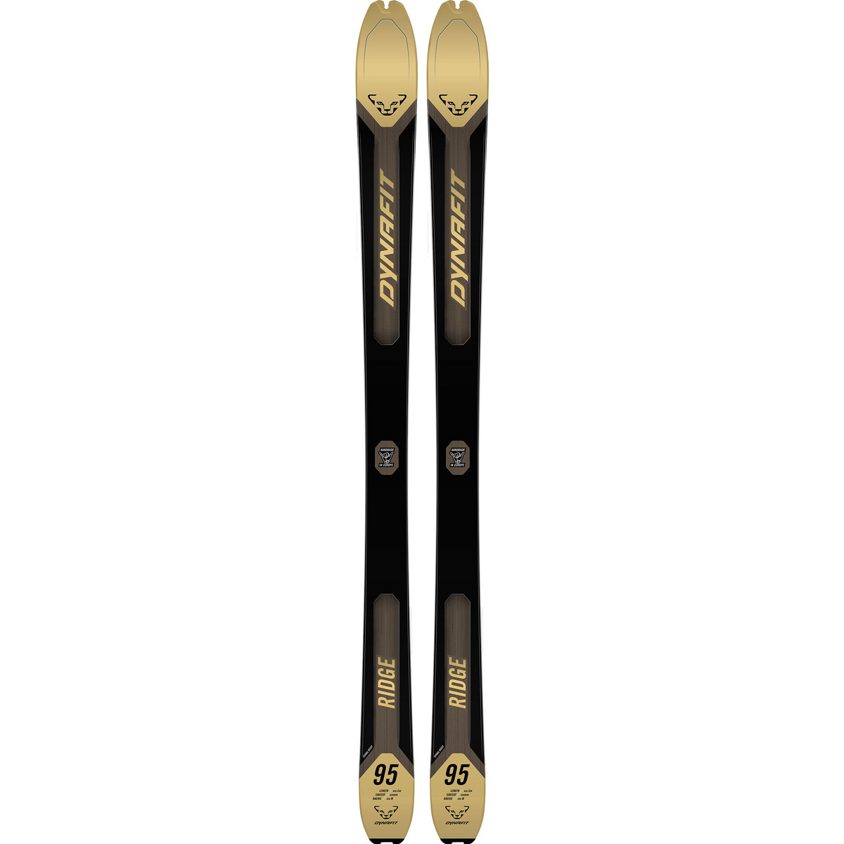 Dynafit Ridge 95 Tourenski 24/25 (Größe 184cm, schwarz)