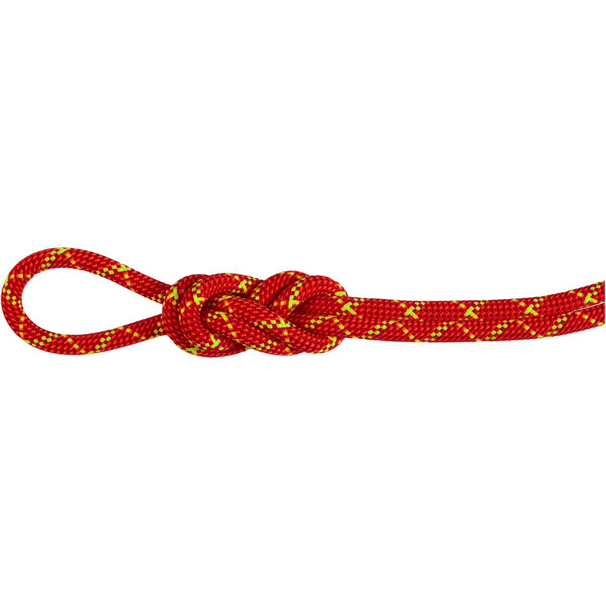 Mammut Corda da arrampicata 8.0 Alpine Core Protect Dry (Taglia 70M, Rosso)