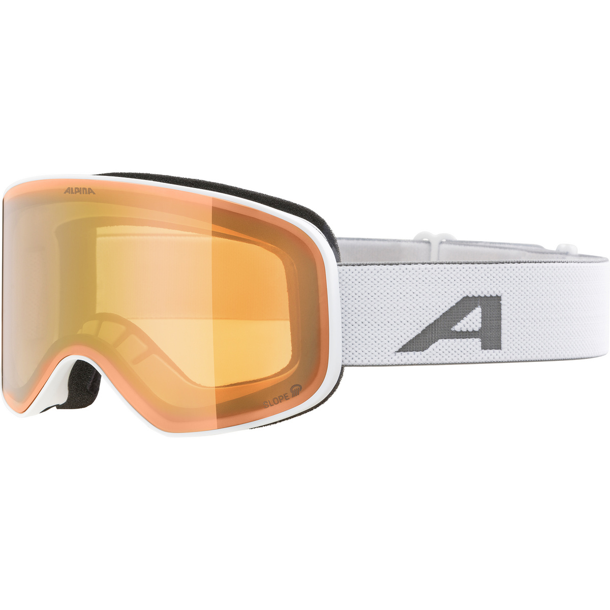 Image of Alpina Occhiali da sci Slope Q