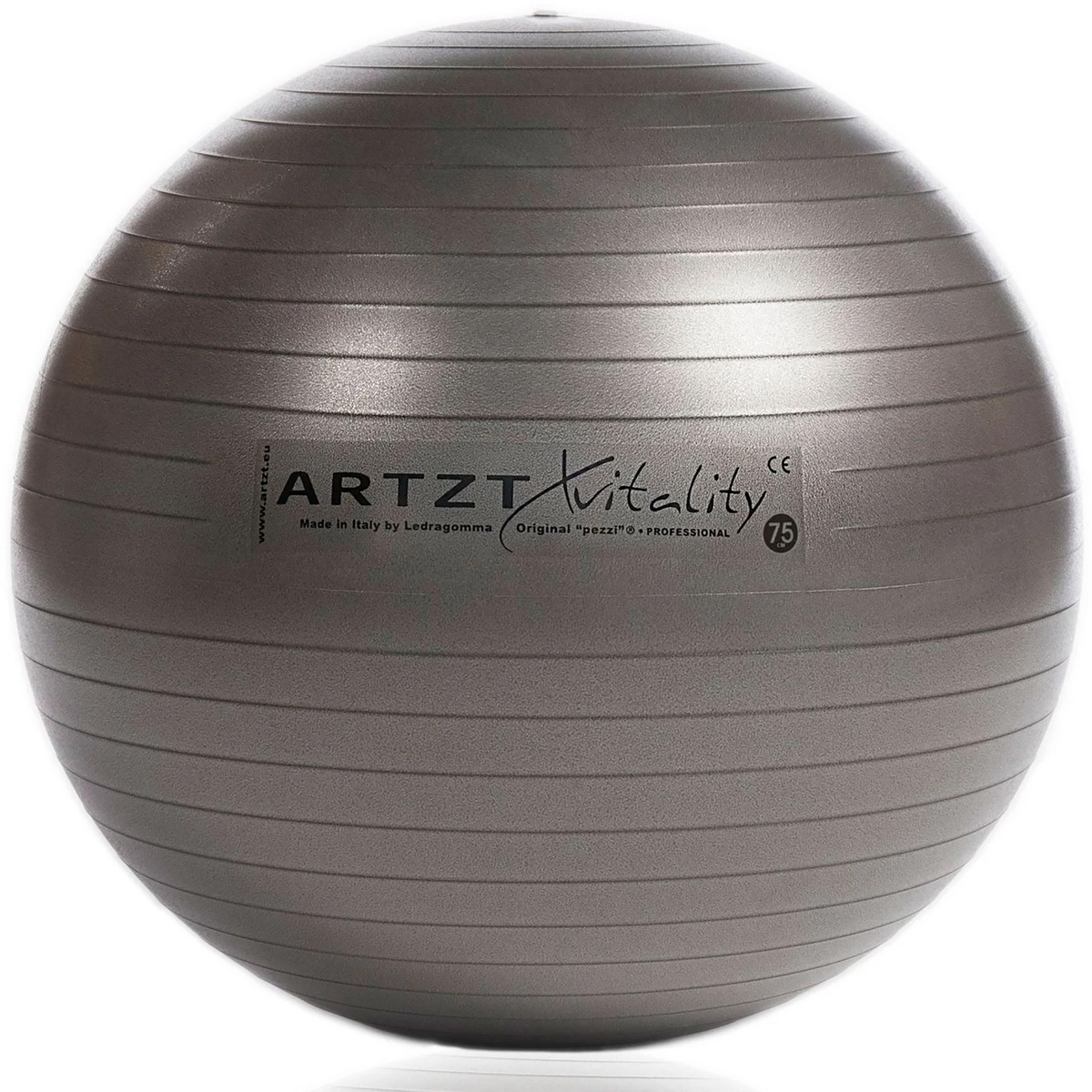 Image of Artzt vitality Fitness-Ball Professional