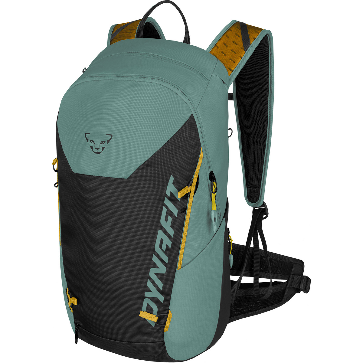 Dynafit Herren Transalper 24 Rucksack (Größe 24L, blau)