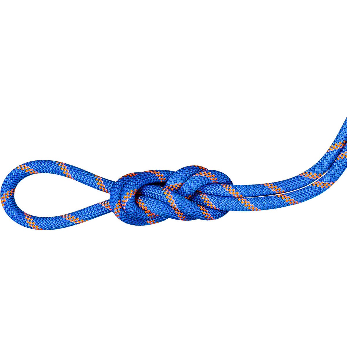 Mammut Corda da arrampicata 9.0 Alpine Sender Dry (Taglia 60M, Blu)
