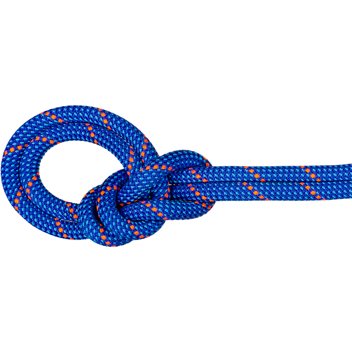 Mammut Corda da arrampicata 9.5 Crag Dry (Taglia 50M, Blu)