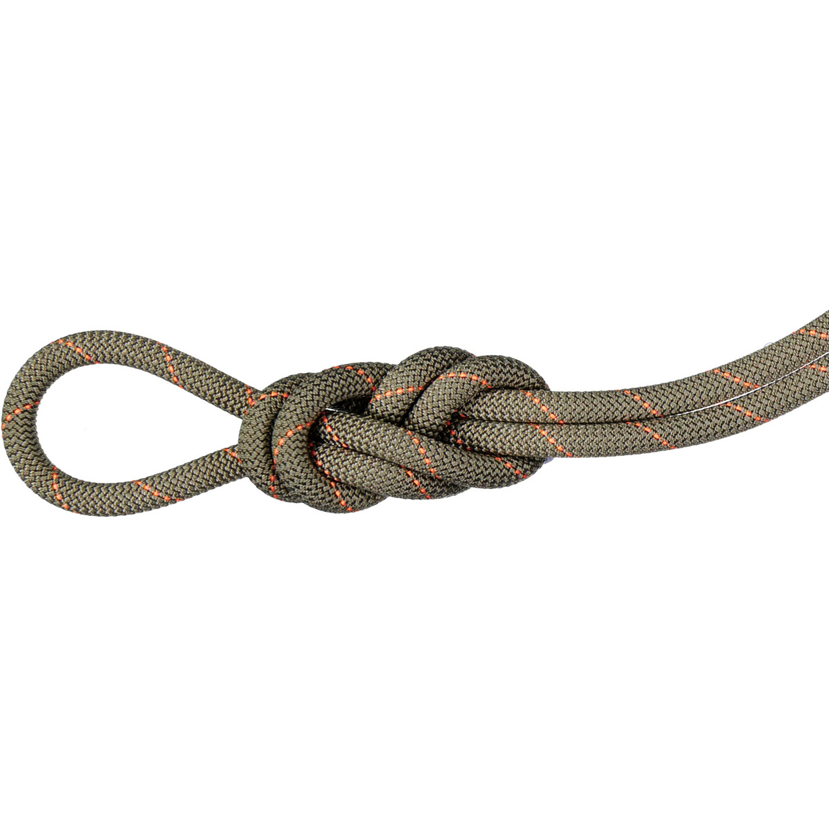 Mammut Corde d'escalade 9.9 Gym Workhorse Classic (taille 50M, Gris)