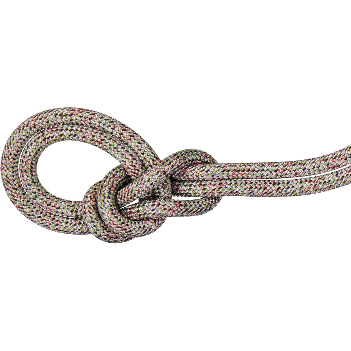 Mammut Corde d'escalade 9.5 Crag We Care Classic (taille 40M, Gris)