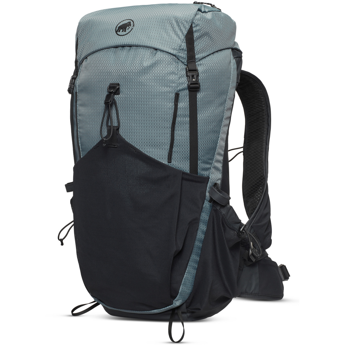 Mammut Ducan 26 Rucksack (Größe 26L, grau)