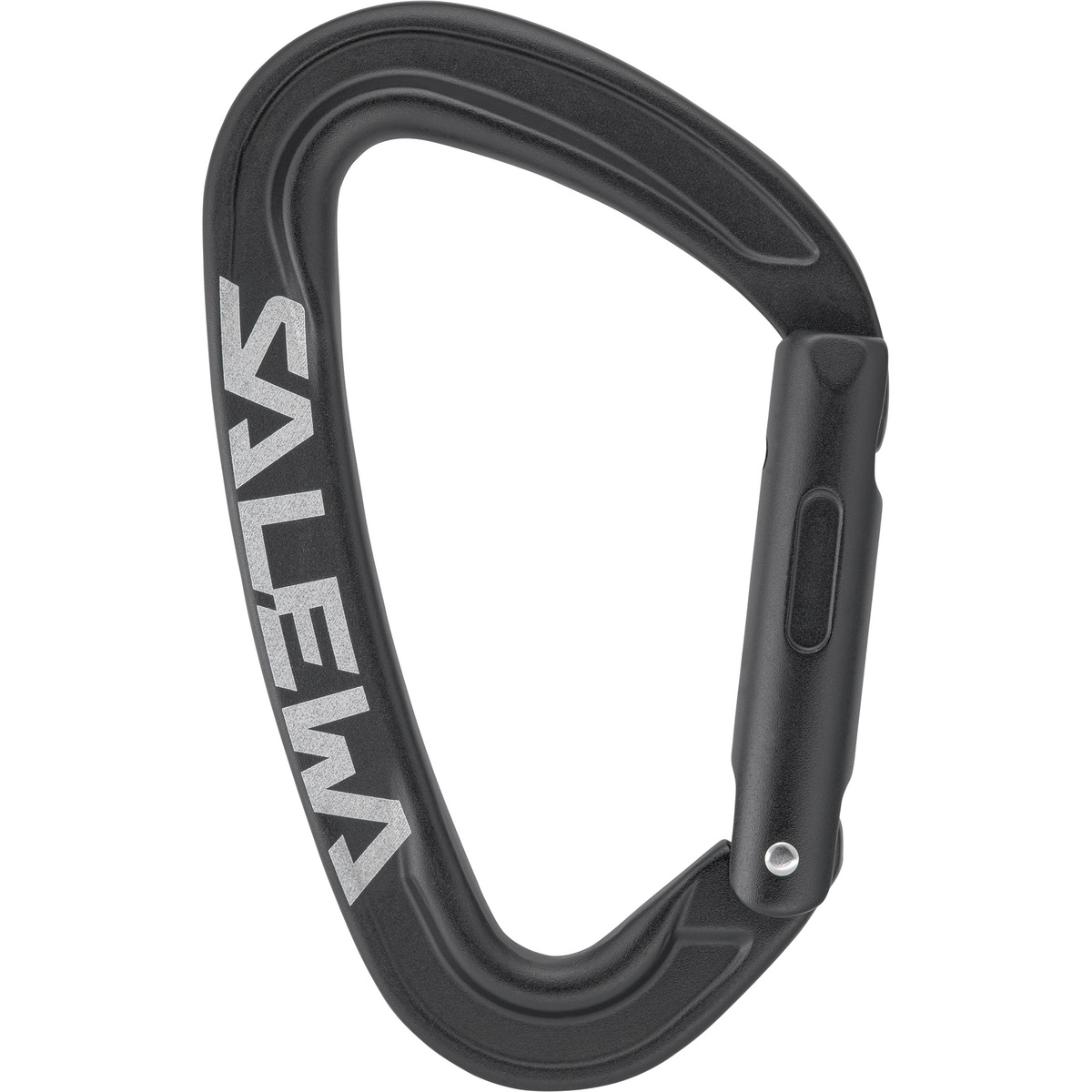 Salewa Ortles Straight Karabiner (Größe One Size, schwarz)