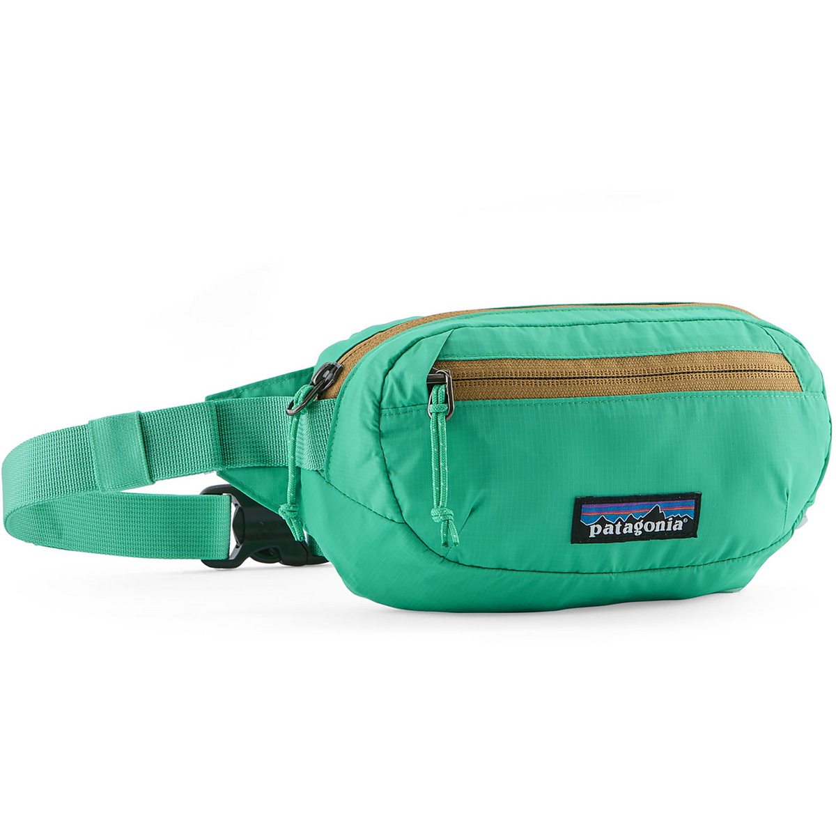 Patagonia Terravia Mini Hüfttasche (Größe 1L, tuerkis)
