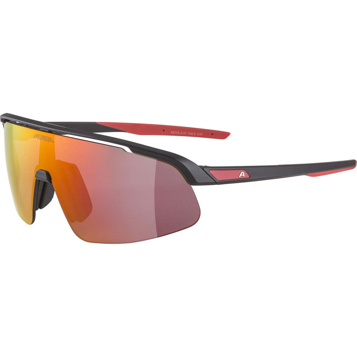 Image of Alpina Kinder Turbo Pro Sportbrille