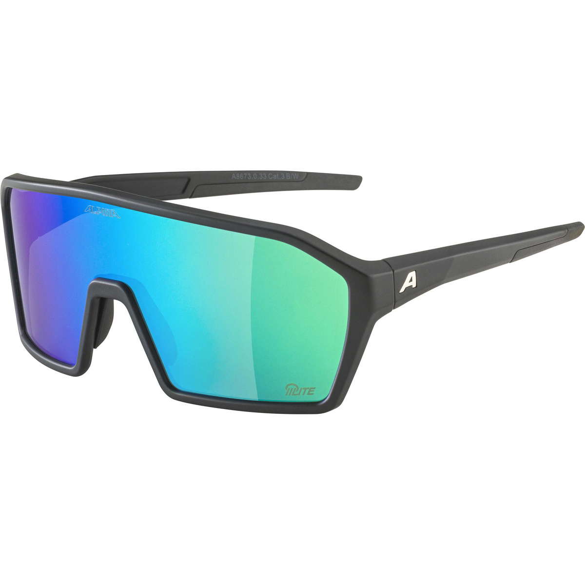 Alpina RAM Q-Lite Sportbrille (Größe ONE SIZE, schwarz)