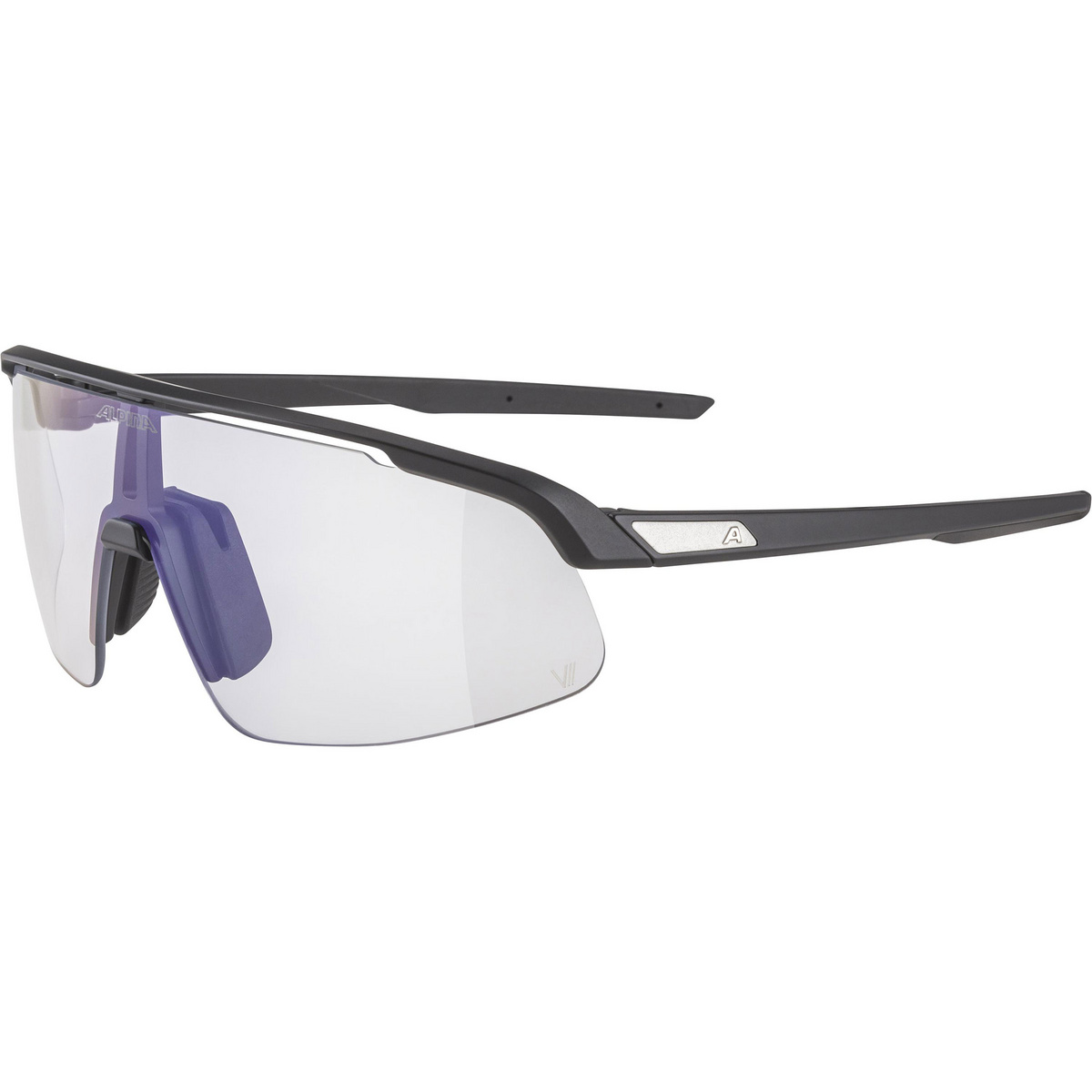 Image of Alpina Turbo Pro S Sportbrille