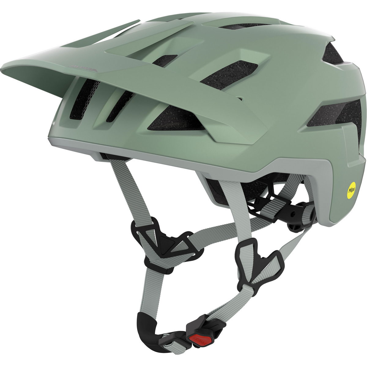 Image of Alpina Taunus Mips Fahrradhelm