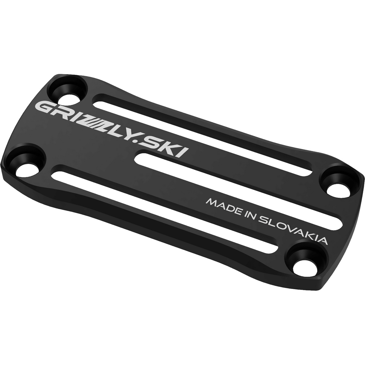 Grizzly Ski Plaque de course (taille ONE SIZE, Noir)
