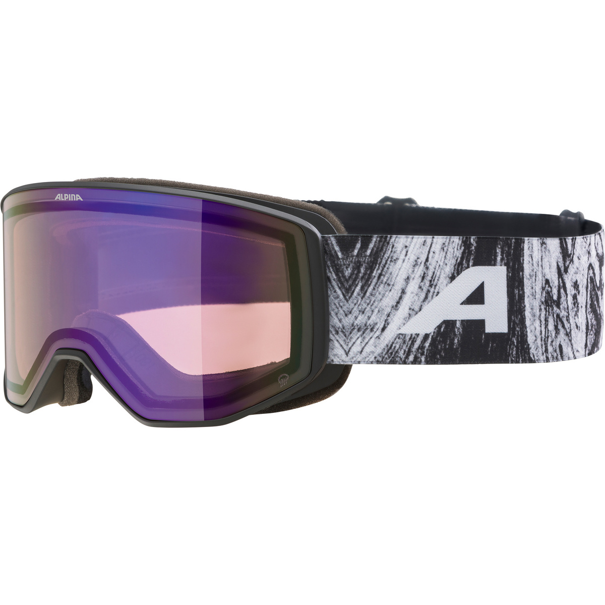 Image of Alpina Occhiali da sci Venet Q