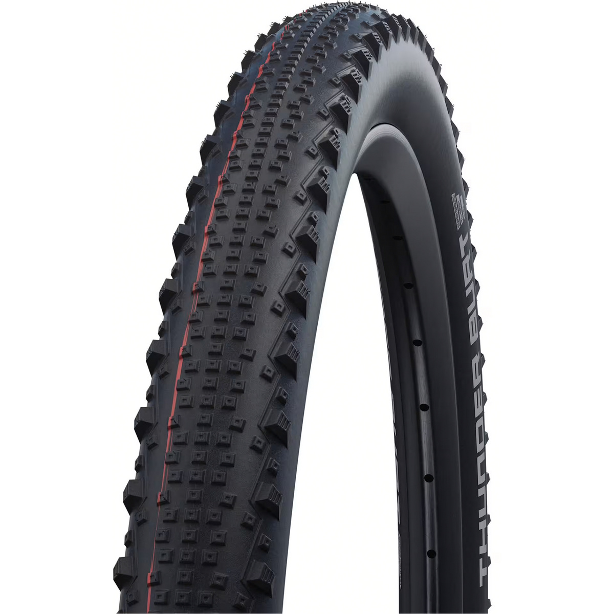 Image of Schwalbe Gomme Thunder Burt Evolution Line HS 451