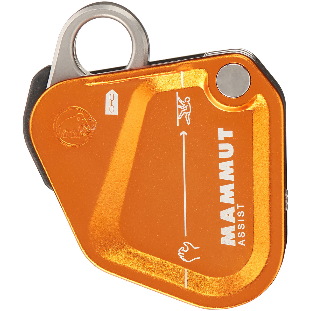 Image of Mammut Assist Belay Resistor Sicherungsgerät