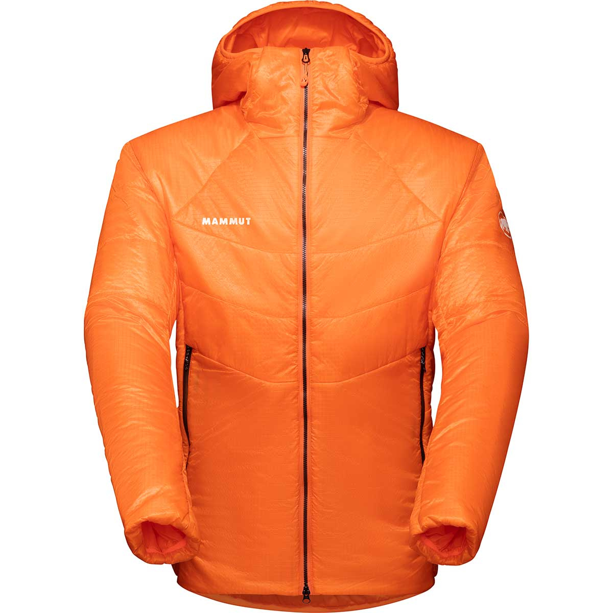 Mammut Herren Eigerjoch Light In Hoodie Jacke (Größe XXL, blau)