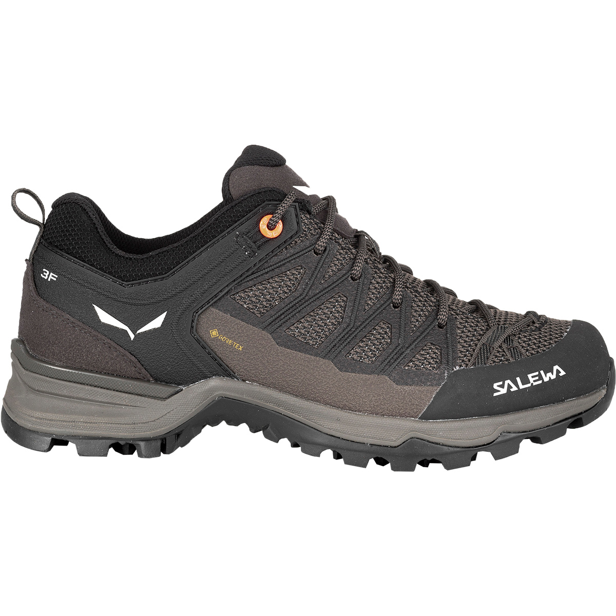 Salewa Damen MTN Trainer Lite GTX Schuhe (Größe 38.5, braun)