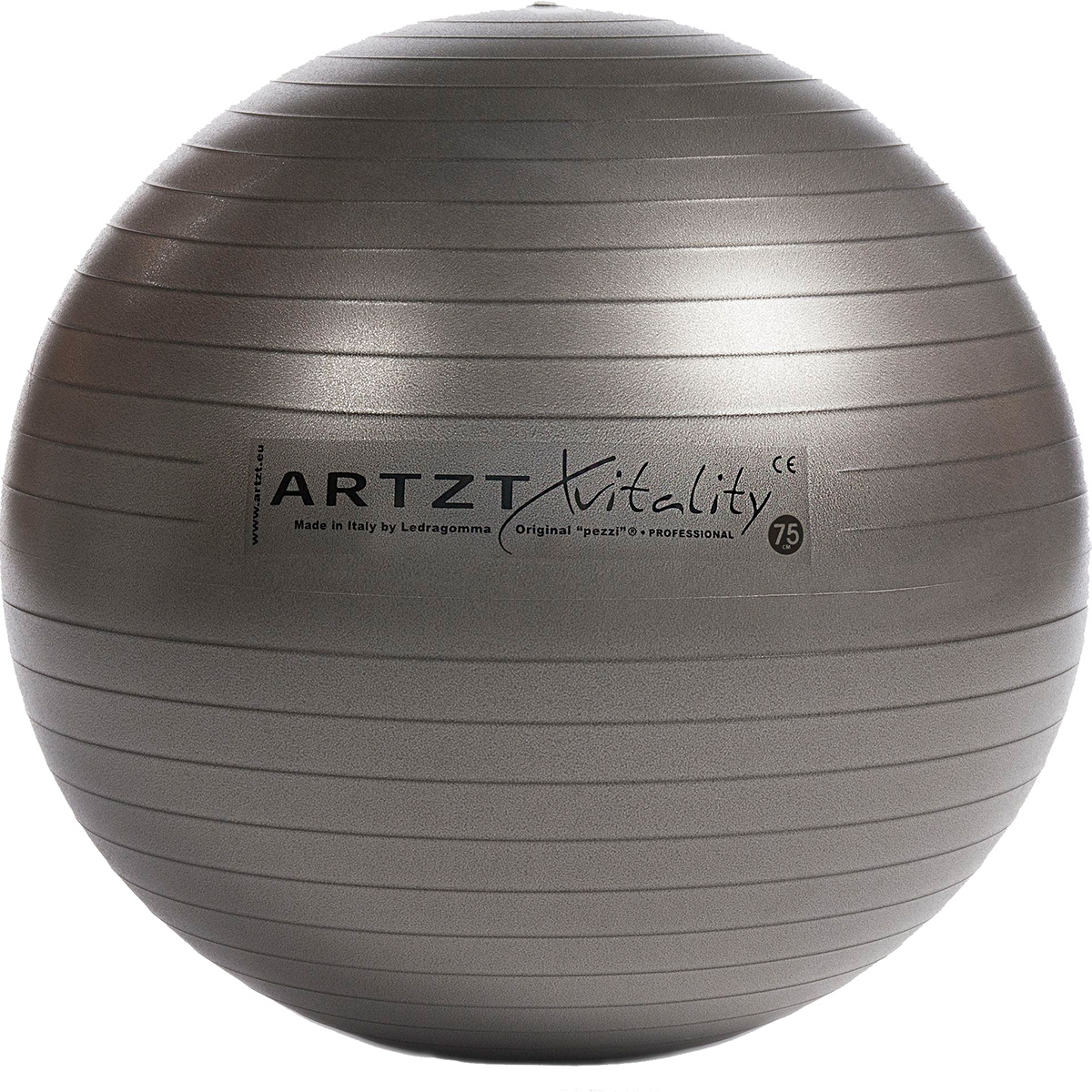 Image of Artzt vitality Vitality Fitness-Ball Professional