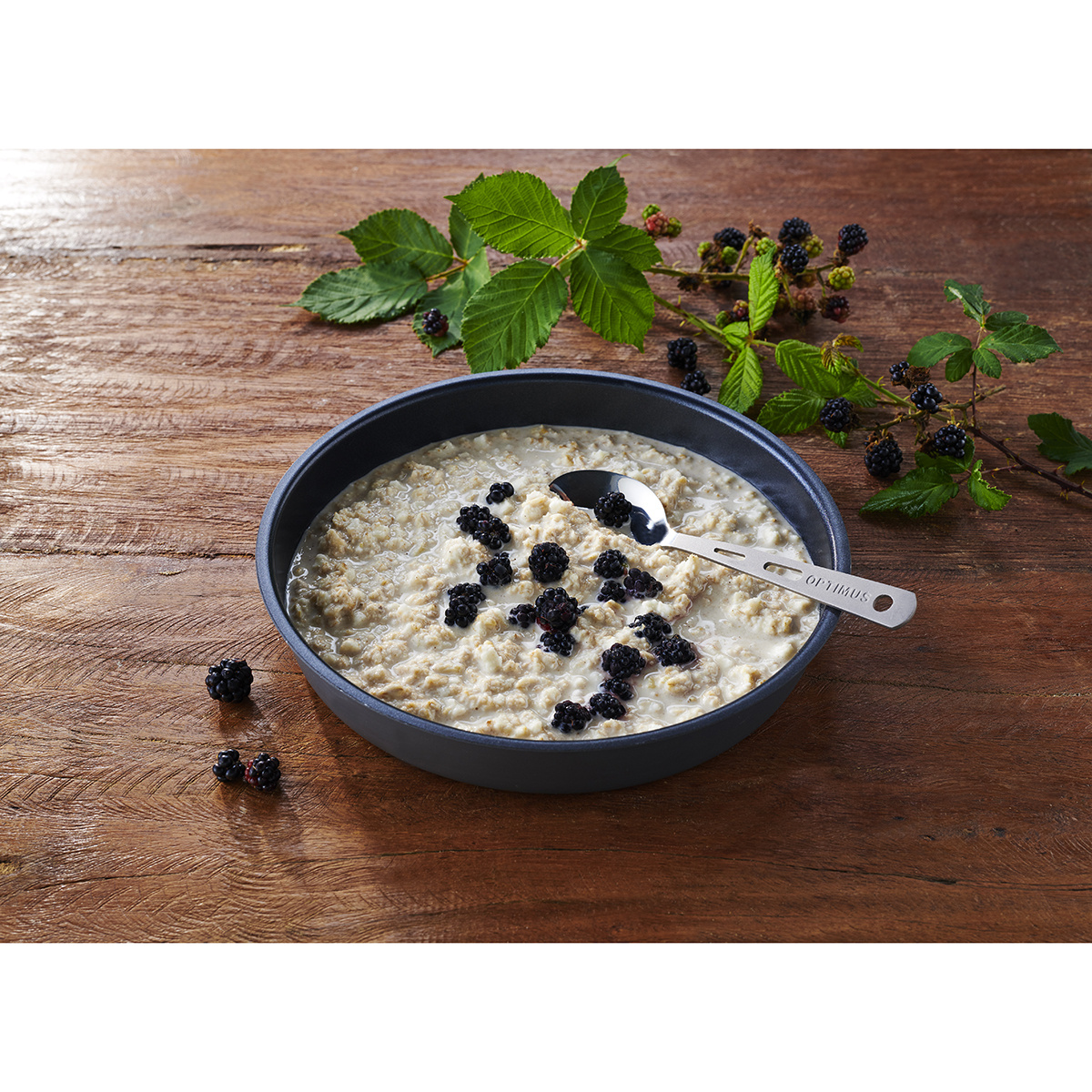 Trek'n Eat Porridge protéiné - Default Title