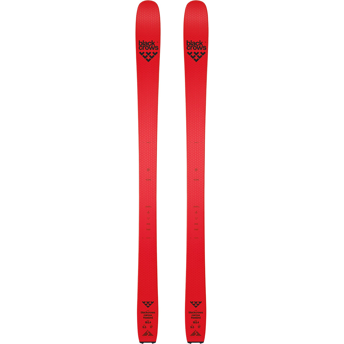 Image of Black Crows Sci da sci alpinismo Camox Freebird  22/23