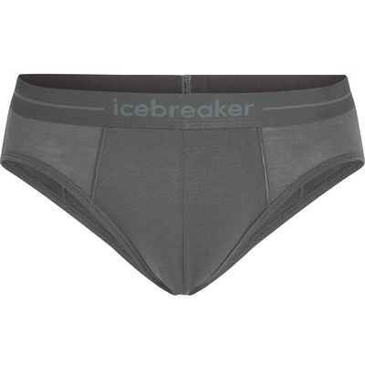 Icebreaker Heren Anatomica boxer (Maat L, Grijs)