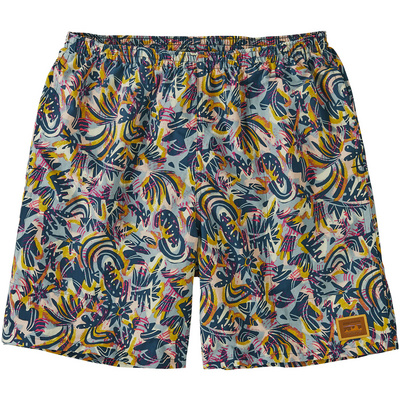 Patagonia Heren Baggies Long Shorts (Maat S, Meerkleurig)