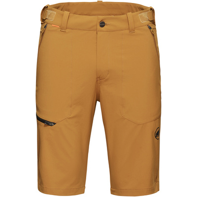 Mammut Heren Runbold Shorts