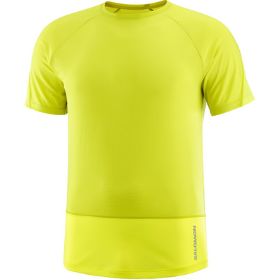 Salomon Heren Cross Run T-Shirt