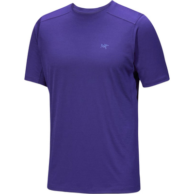 Arcteryx Heren Ionia T-Shirt