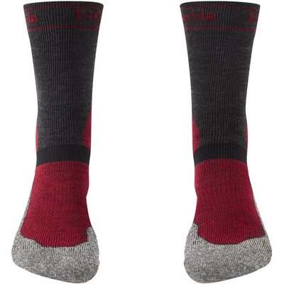 Bridgedale Heren MTB Winter Weight T2 Merino Sokken (Maat 36 , Rood)
