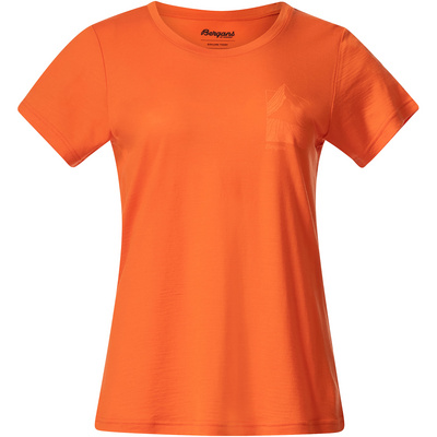 Bergans Dames Rabot Mount Wool T-Shirt (Maat M, Oranje)