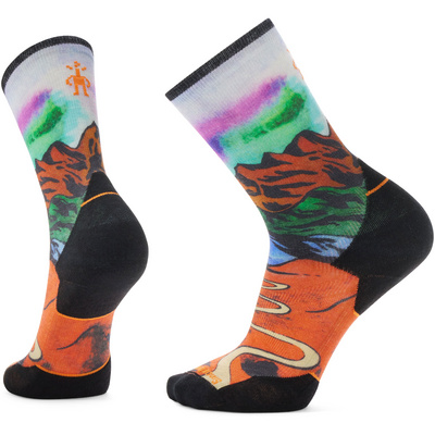 Smartwool Heren Trail Run Targeted Singletrack Print Crew Sokken (Maat 42 , Meerkleurig)
