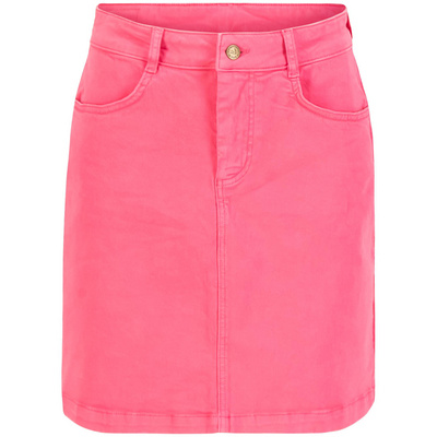Blutsgeschwister Dames Spirit Roket Rok (Maat S, Roze)