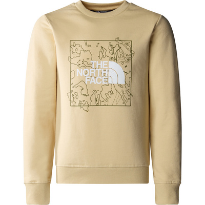 The North Face Kinderen New Graphic Crew Trui (Maat XS, Beige)
