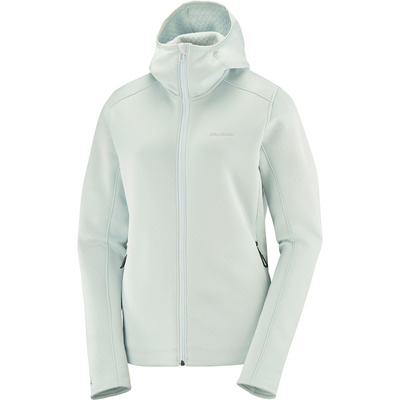 Salomon Dames Essential Midfleece Hooded Jas (Maat M, Blauw)