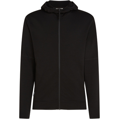 Icebreaker Heren 360 Realfleece Elemental Hoodie Jas