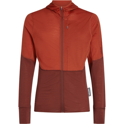 Icebreaker Heren 200 Realfleece Descender Hoodie Jas