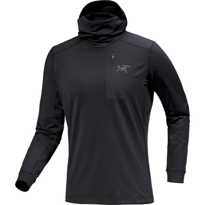 Arcteryx Arc'teryx Heren Rho Lt Hoodie Longsleeve