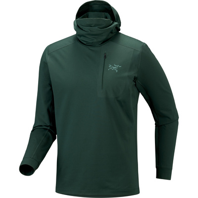 Arcteryx Arc'teryx Heren Rho Lt Hoodie Longsleeve