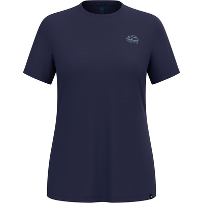 Odlo Dames Raincloud Merino 160 T-shirt (Maat XS, Blauw)