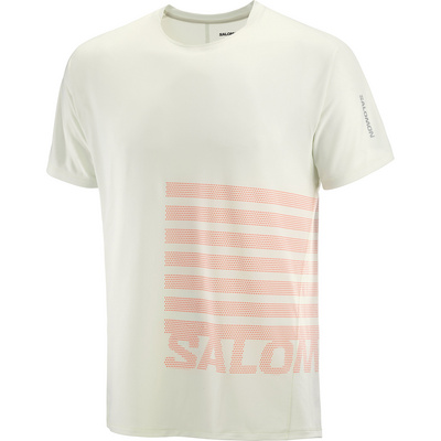 Salomon Heren Sense Aero GFX T-shirt