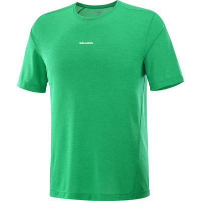 Salomon Heren SHKout Core T-shirt